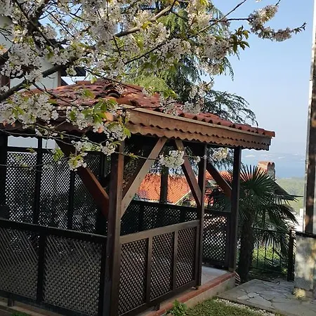 Bahce Mahmudiye Villa Sapanca